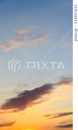 空素材（縦構図） 134951632