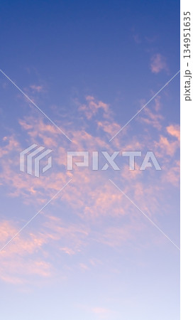 空素材（縦構図） 134951635