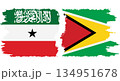 Guyana and Somaliland grunge flags connection vector 134951678