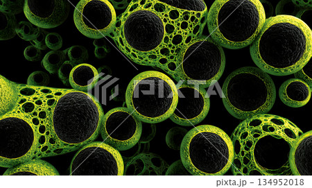細胞構造 抽象的 背景 顕微鏡 134952018