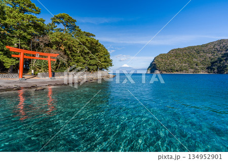 諸口神社　鳥居と駿河湾と富士山　「沼津市戸田」 134952901