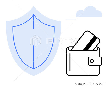 Online shopping, cybersecurity, payment security, identity protection, finance management, digital transactions. Shield and wallet with credit card. Cybersecurity and payment security metaphor 134953556