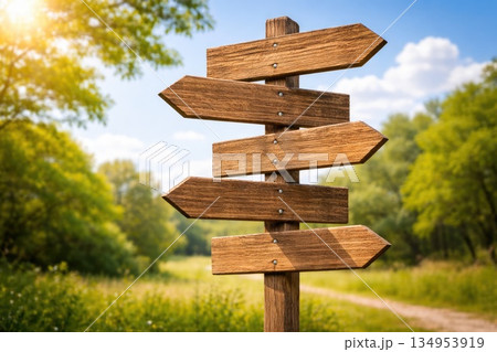 Wooden Direction Signpost in Nature Landscape 134953919