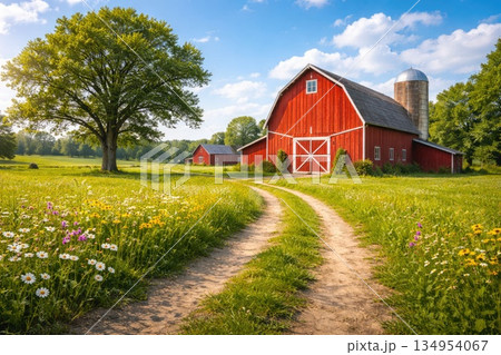 Red Wooden Barn and Country Road in Green Summer Meadow Red Wooden Barn and Country Road in Green Summer Meadow 134954067