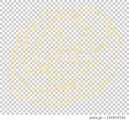 Yellow line drawing of peony leaves Yellow line drawing of peony leaves 134954591