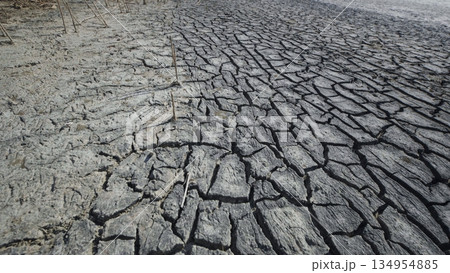 Parched ground revealing drought's harsh impact, cracked terrain symbolizing environmental stress in arid crimean landscape 134954885