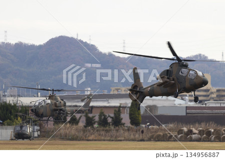 陸上自衛隊のOH-1とAH-1ヘリコプター 陸上自衛隊のOH-1とAH-1ヘリコプター 134956887
