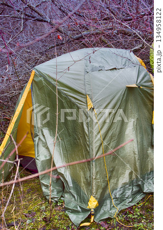 tent in foothills in dense thickets hidden. 134958122
