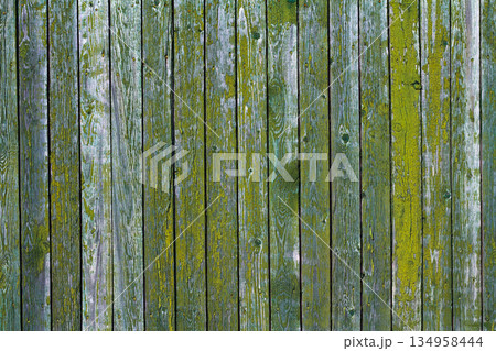 Green wooden 134958444