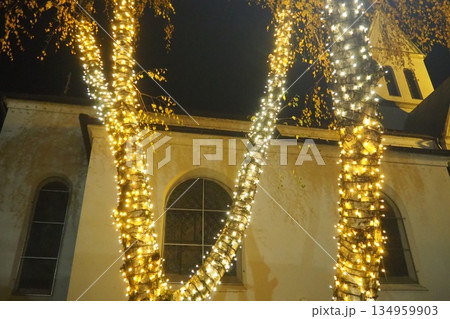Garlands of glowing small bulbs, hanging on a tree in an evening dark park, and swinging. The theme of the New Year and Christmas. Festive atmosphere. Beautiful electric outdoor decorations. Xmas joy Garlands of glowing small bulbs, hanging on a tree in an evening dark park, and swinging. The theme of the New Year and Christmas. Festive atmosphere. Beautiful electric outdoor decorations. Xmas joy 134959903