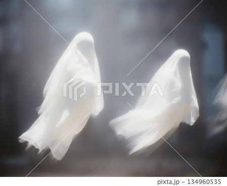 Two ethereal ghosts glide silently through a foggy atmosphere in a deserted area, creating an eerie but captivating scene at dusk Generative AI 134960535