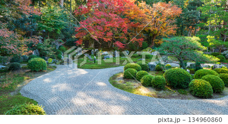 曼殊院の紅葉_1220B 曼殊院の紅葉_1220B 134960860