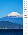 静岡 清水の三保真崎海岸で撮った富士山 静岡 清水の三保真崎海岸で撮った富士山 134960992