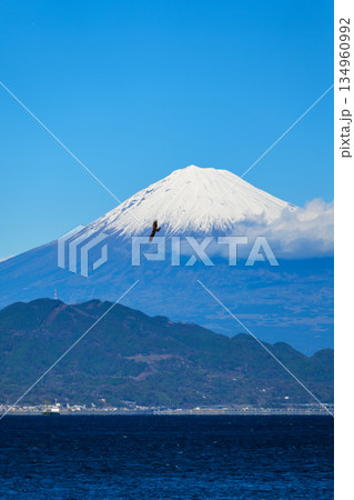 静岡 清水の三保真崎海岸で撮った富士山 静岡 清水の三保真崎海岸で撮った富士山 134960992