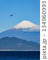 静岡 清水の三保真崎海岸で撮った富士山 静岡 清水の三保真崎海岸で撮った富士山 134960993