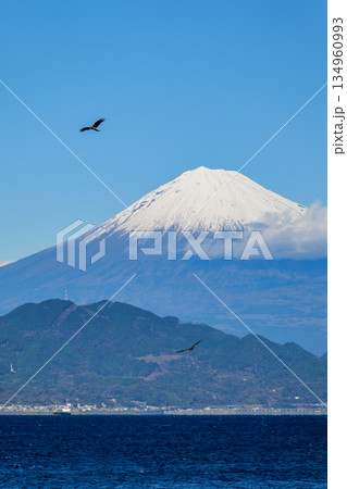 静岡 清水の三保真崎海岸で撮った富士山 134960993