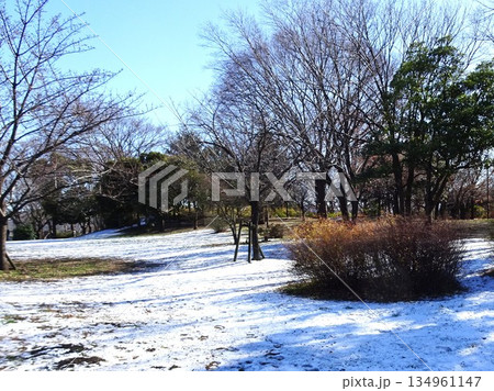 正月の初雪 正月の初雪 134961147