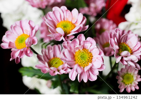 Bouquet of lovely pink daisies with bright yellow centers against backdrop of white flowers. Cheerful and colorful, perfect for joyful occasion. Fresh and vibrant flowers, natural beauty Bouquet of lovely pink daisies with bright yellow centers against backdrop of white flowers. Cheerful and colorful, perfect for joyful occasion. Fresh and vibrant flowers, natural beauty 134961242