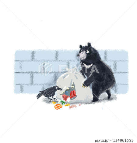 住宅地でゴミをあさるクマのイラスト 134961553