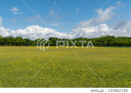 美郷町大台野広場 美郷町大台野広場 134962190