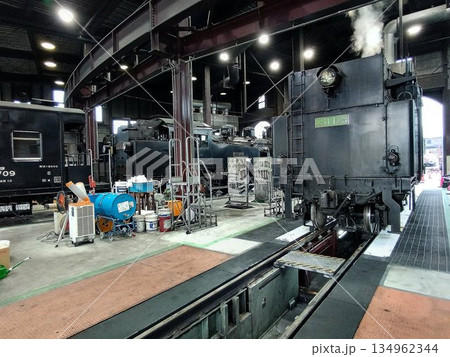 扇形機関庫に居並ぶ… 3両の『SL大樹』【C11蒸気機関車】と『ピット』 134962344