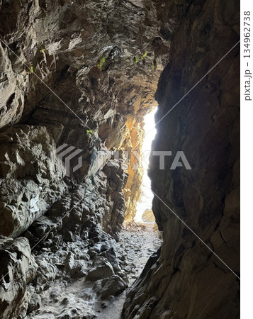 光輝く白龍 134962738