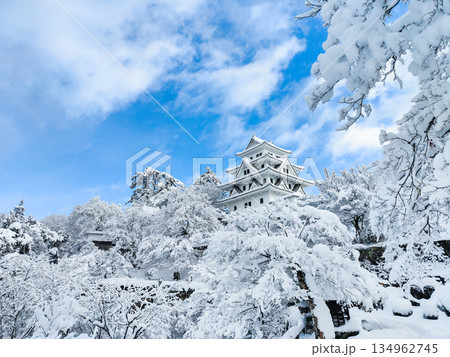 雪の郡上八幡城 雪の郡上八幡城 134962745