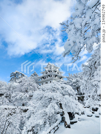 雪の郡上八幡城 雪の郡上八幡城 134962749