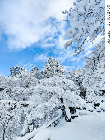 雪の郡上八幡城 雪の郡上八幡城 134962750