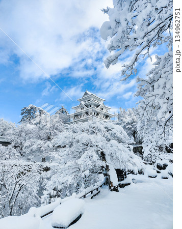 雪の郡上八幡城 雪の郡上八幡城 134962751