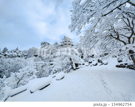 雪の郡上八幡城 雪の郡上八幡城 134962754