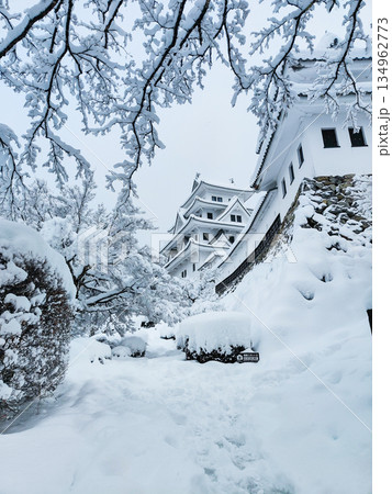 雪の郡上八幡城 雪の郡上八幡城 134962773