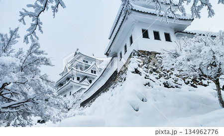 雪の郡上八幡城 雪の郡上八幡城 134962776