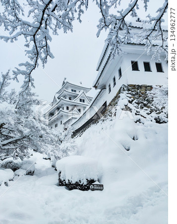 雪の郡上八幡城 雪の郡上八幡城 134962777