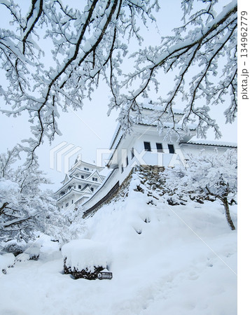 雪の郡上八幡城 雪の郡上八幡城 134962779