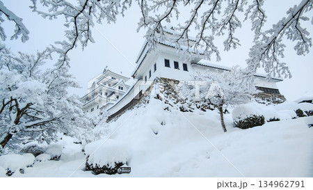 雪の郡上八幡城 雪の郡上八幡城 134962791