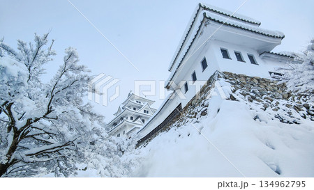 雪の郡上八幡城 雪の郡上八幡城 134962795
