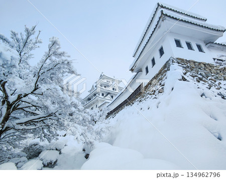 雪の郡上八幡城 雪の郡上八幡城 134962796