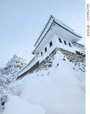 雪の郡上八幡城 雪の郡上八幡城 134962799