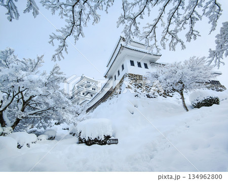 雪の郡上八幡城 雪の郡上八幡城 134962800