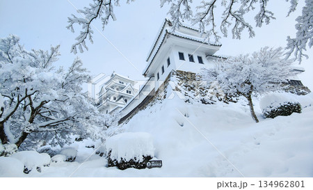 雪の郡上八幡城 雪の郡上八幡城 134962801