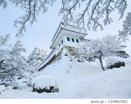 雪の郡上八幡城 134962802