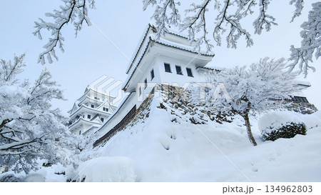 雪の郡上八幡城 134962803