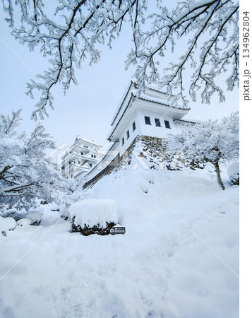 雪の郡上八幡城 134962804