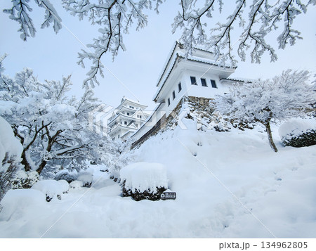 雪の郡上八幡城 雪の郡上八幡城 134962805