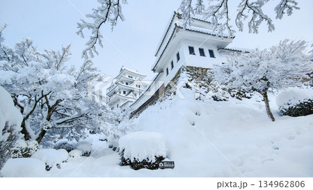 雪の郡上八幡城 雪の郡上八幡城 134962806
