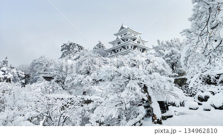 雪の郡上八幡城 雪の郡上八幡城 134962810