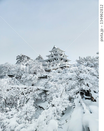 雪の郡上八幡城 雪の郡上八幡城 134962812