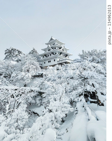 雪の郡上八幡城 雪の郡上八幡城 134962813
