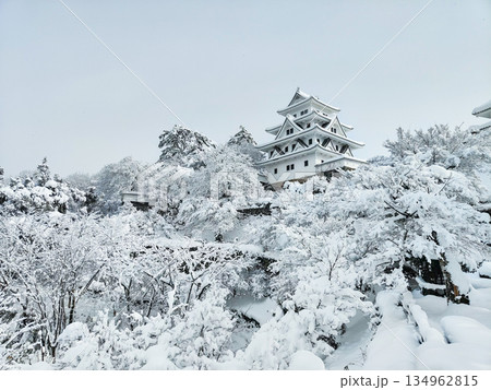 雪の郡上八幡城 雪の郡上八幡城 134962815